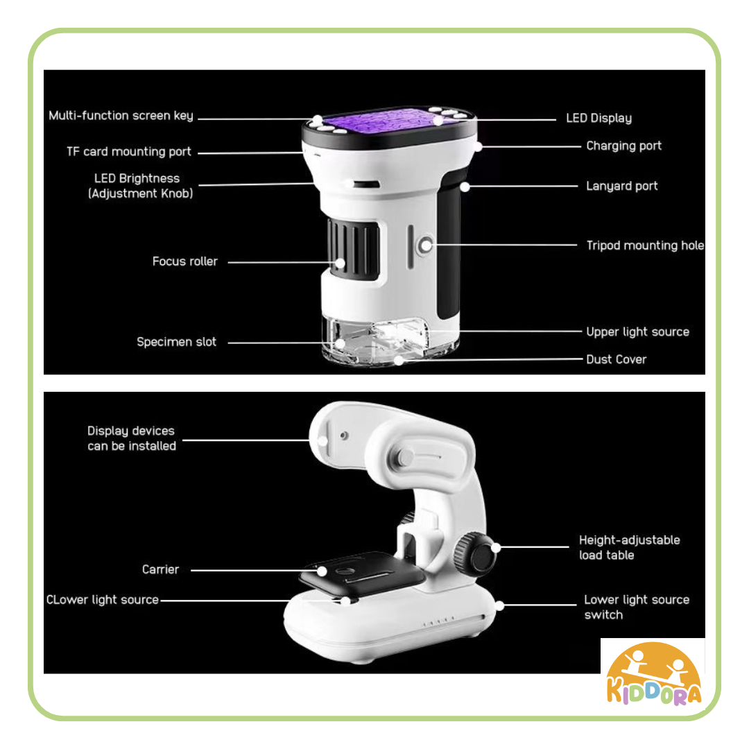 Kids Microscope (3-way)
